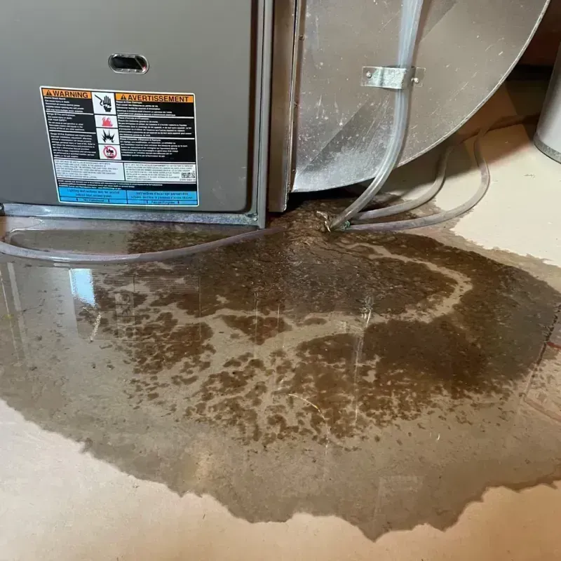 Appliance Leak Cleanup in Kiowa, CO